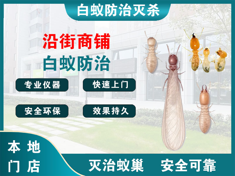 临安区沿街商铺白蚁防治
