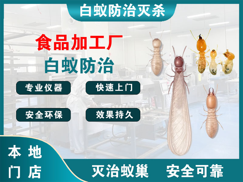 临安区食品加工厂白蚁防治