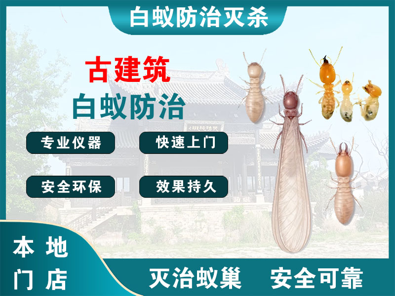 临安区古建筑白蚁防治