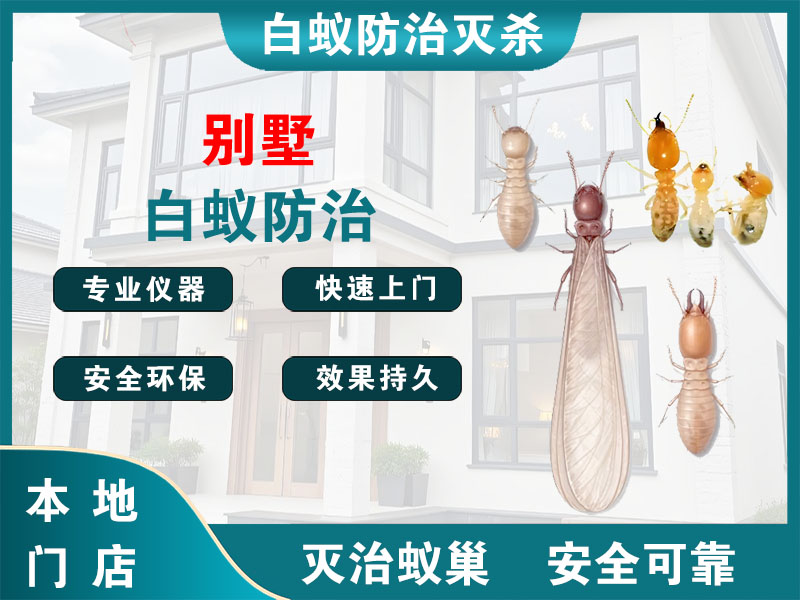 临安区别墅白蚁防治